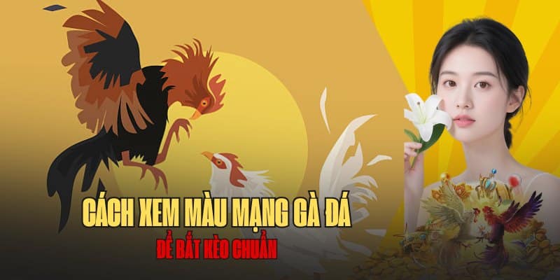 Hướng dẫn xem màu mạng gà