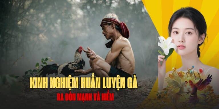 huấn luyện gà đá
